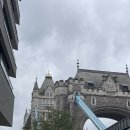 IVY 타워 이미지