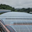 상예동-7 이미지