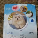 코샷 이미지