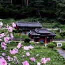 경기도 안성시 일죽면사무소 이미지