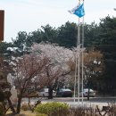 흥해서부초등학교 이미지