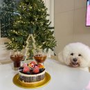 해맞이 동물병원 이미지