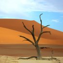세계 사진가들의 로망, 나미브 사막 이미지