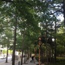 대구광역시선 아양공원 입구 | 대구 가볼만한곳 국채보상운동기념공원 역사공부와 산책까지! (+지진 옥외대피소)