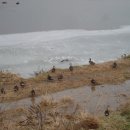 왕숙천 자전거도로9 이미지