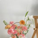 설레화