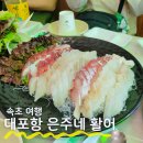 은주네 반찬 | 속초맛집 대포항 은주네활어 모듬회 세트 내돈내산 후기
