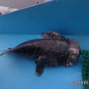 k3바다낚시터 이미지