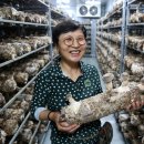 화산(화산1리) 이미지