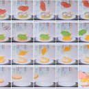 관교초등학교 이미지