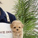 연우메디칼 이미지