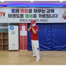 멘토 경희대 태권도 교육관 이미지