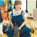 고양이 카페 여기 이미지