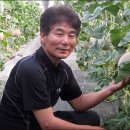 곡성멜론 주식회사 이미지