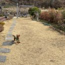 바다정원 이미지