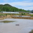 미력면사무소 이미지