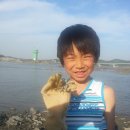 강화도 갯벌체험캠핑~~ 이미지