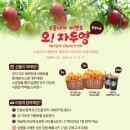 자두PC 이미지