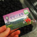 설악산아로니아 이미지