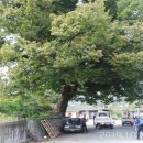 성곡보건진료소 이미지