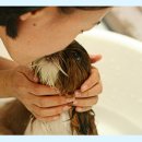 용인센트럴동물병원 이미지