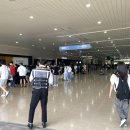 프로세탁소 | 메가주가 메가주했다~! 킨텍스 애견박람회 다녀온 후기 ( + 다양한 이벤트 참여방법)