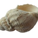 김포에이치(H)병원 이미지