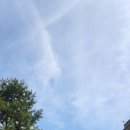 만해마을위 이미지