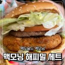 87 | 대전 유성온천 충남대 맥도날드 맥모닝 해피밀 세트와 와사비 게살 크림크로켓 버거 후기
