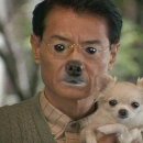 또또꼬마김밥평택지제점