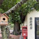 여왕목장 | [성환]동민목장 카페 후기 ‘소대신 배밭 뷰’