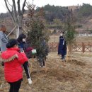 생각나무자연학교 이미지