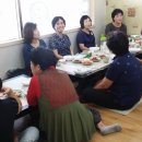 덕두경로당 Daum카페