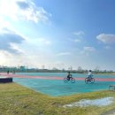 무한천체육공원 주차장 | 충남 벚꽃 명소 🌸 예산 무한천체육공원 한적한 벚꽃 스팟 + 주차 꿀팁