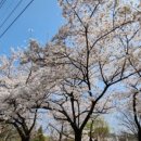 성호마트 이미지