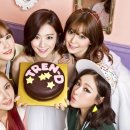 정**-19 이미지