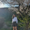 미미시루