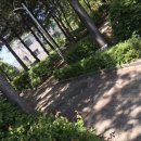 까치울역 4번 출구 이미지