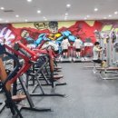 스카이 피티 이미지