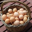 천수축산 이미지