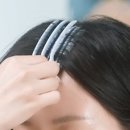 골드존 - 원주시 서원대로 406 | 다슈 데일리 볼륨픽, 정수리 골드존 제대로 살리는 볼륨템 후기