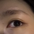 가가래쉬 | 수원시청 / 인계동 한올한올 정성가득하게 올려주는 속눈썹펌 노바래쉬 방문후기