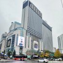 이산화학 주식회사 | 화풍의 서울 나들이 - 서울 을지로 입구 일원