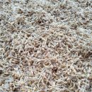 장한말길 이미지