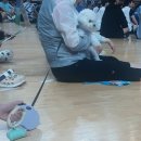 남원생활체육관 주경기장 | [응원 후기] 안세영 올림픽제패기념 전국생활체육 배드민턴대회 / 2025. 6. 8.(일)