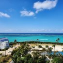 (주)오션스타국제여행사 | 오키나와 골프장 키세 vs 서든링크스 vs 오션캐슬, 10만원 차이로 만족도가 크게 달라집니다. 코스별...