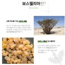 (주)우리홈쇼핑 이미지