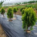 열음농장 이미지