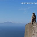 천주교인보회행복한집 네이버블로그