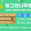 빛그린나무병원